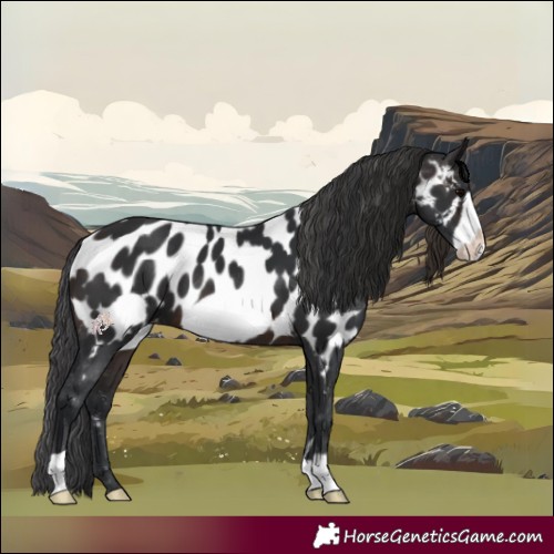 Horse Color:Brown Frame Near Leopard 