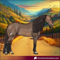 Horse Color:Bay Dun