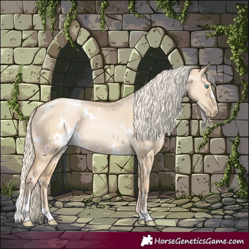 Horse Color:White Spotted Palomino Pearl Dun 