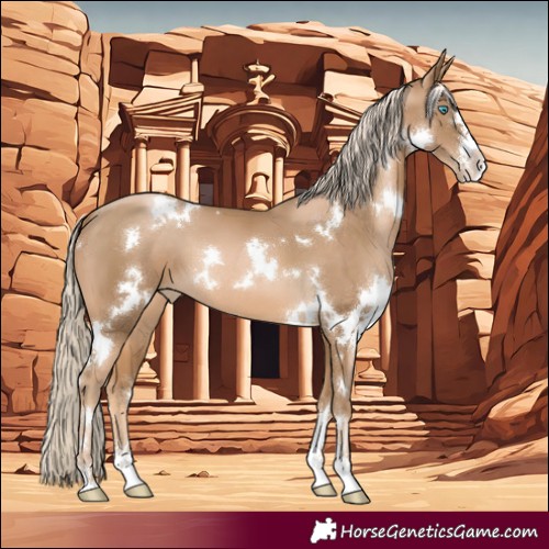 Horse Color:White Spotted Chocolate Palomino Pearl Sabino 