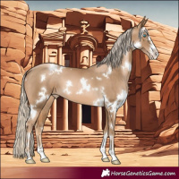 Horse Color:White Spotted Chocolate Palomino Pearl Sabino 