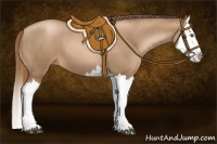 Horse Color:Liver Chestnut Pearl Splash 