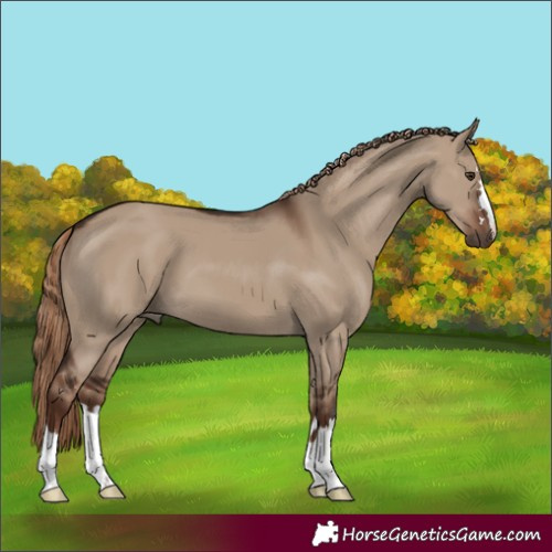 Horse Color:Liver Red Dun 