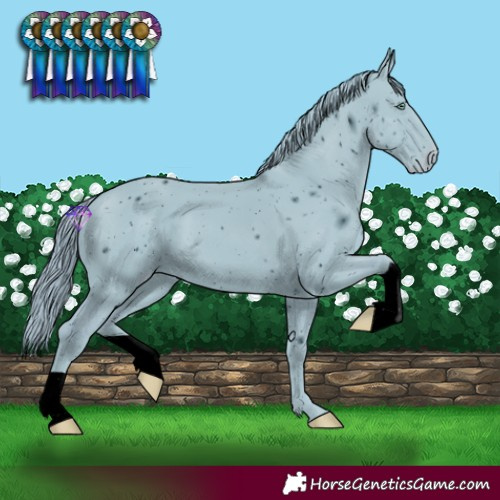 Horse Color:ERROR: UNKNOWN ANOMALY