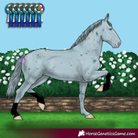 Horse Color:ERROR: UNKNOWN ANOMALY