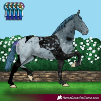Horse Color:ERROR: UNKNOWN ANOMALY