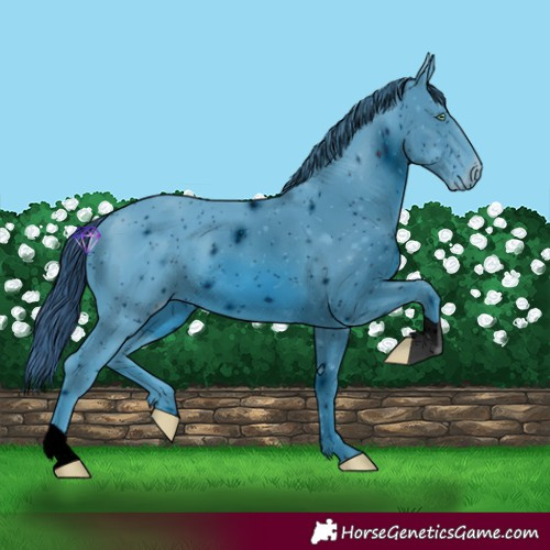 Horse Color:ERROR: UNKNOWN ANOMALY