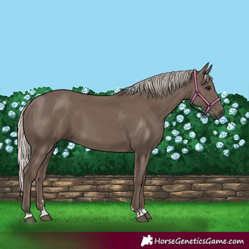 Horse Color:Silver Black 