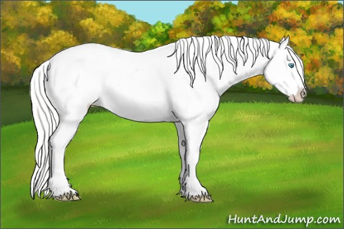 Horse Color:Silver Perlino Appaloosa 