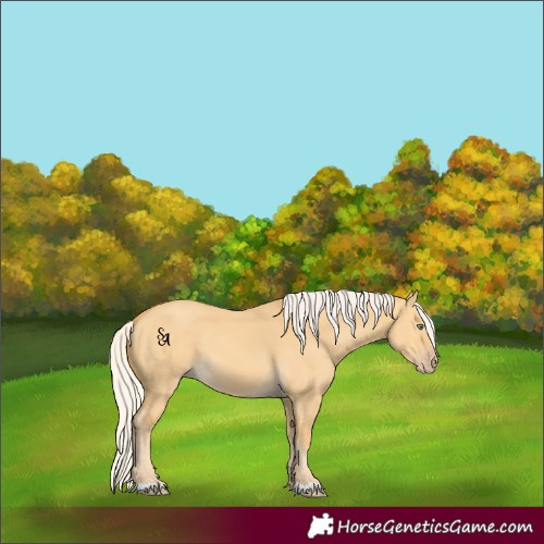 Horse Color:Silver Amber Cream Champagne Dun 