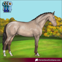 Horse Color:Sable Champagne Dun