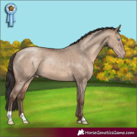 Horse Color:Sable Champagne Dun