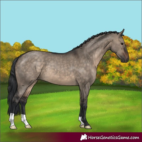 Horse Color:Brown Dun