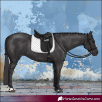 Horse Color:Smoky Black Rabicano