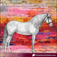 Horse Color:Brown Sabino 