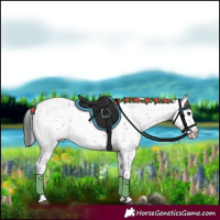 Horse Color:Black Sabino 