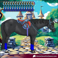 Horse Color:Black Rabicano 