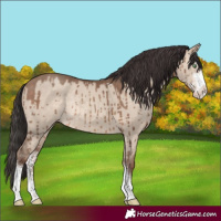 Horse Color:Sable Champagne Dun Sabino Rabicano Brindle
