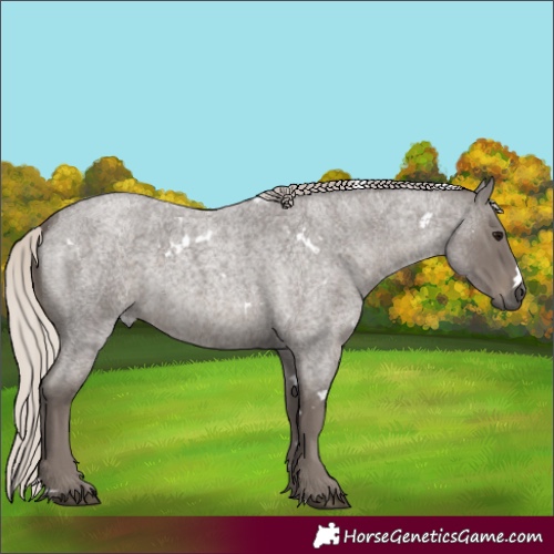 Horse Color:White Spotted Silver Smoky Blue Roan 