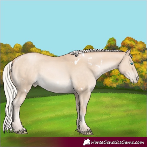 Horse Color:White Spotted Silver Buckskin Pearl 