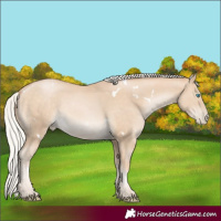 Horse Color:White Spotted Silver Buckskin Pearl 