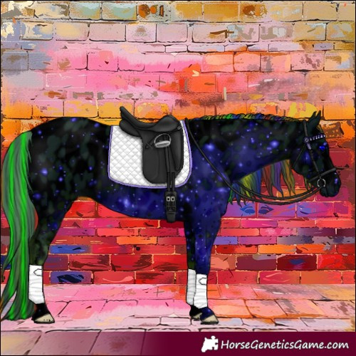 Horse Color:ERROR: UNKNOWN ANOMALY