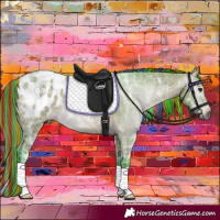 Horse Color:Gray Painted Watercolor Bay Ice Appaloosa 