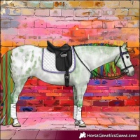 Horse Color:Gray Painted Watercolor Bay Ice Appaloosa