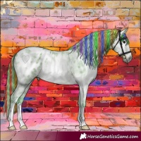 Horse Color:Gray Painted Watercolor Bay Ice Appaloosa