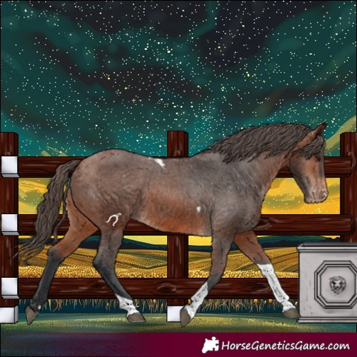 Horse Color:Bay Tobiano Varnish 