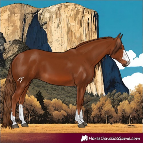 Horse Color:Chestnut 