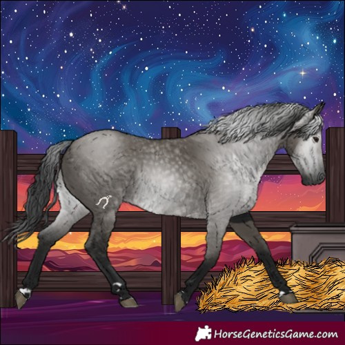 Horse Color:Gray Grullo 