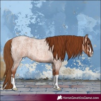 Horse Color:Red Roan