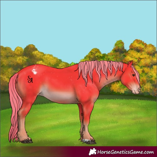Horse Color:Watercolor Liver Chestnut Mushroom Varnish 