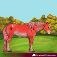 Horse Color:Watercolor Liver Chestnut Mushroom Varnish