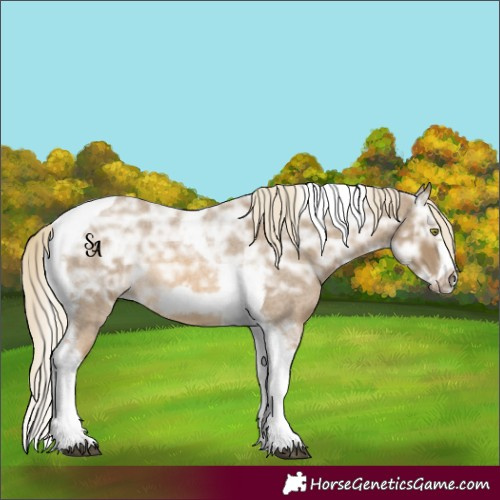 Horse Color:Chocolate Palomino Ice Roan Mushroom Tobiano Frame Rabicano 