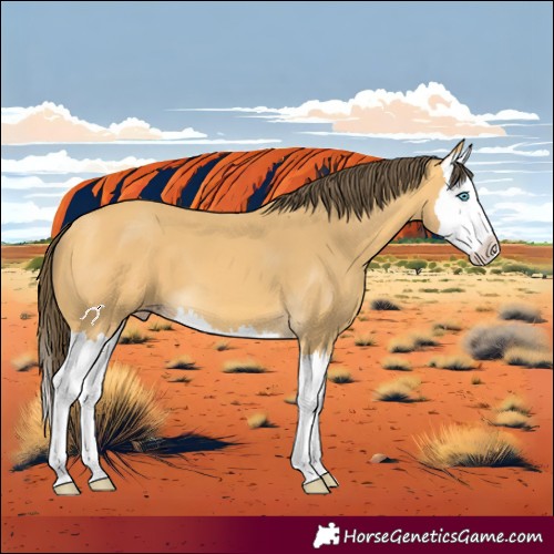 Horse Color:Amber Cream Champagne Splash 