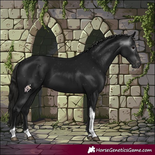 Horse Color:Gray Black Tobiano Varnish 
