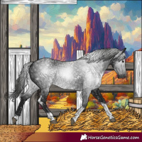Horse Color:Gray White Spotted Black Tobiano Appaloosa