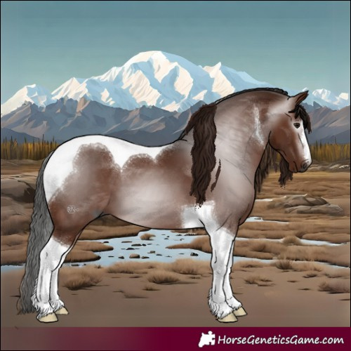 Horse Color:Gray Bay Tobiano 