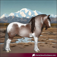 Horse Color:Gray Bay Tobiano