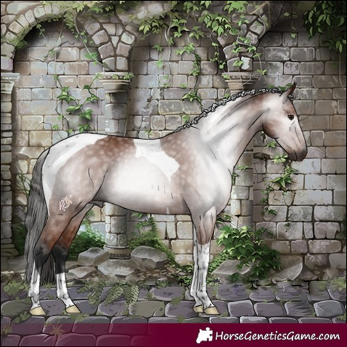 Horse Color:Gray Bay Tobiano Rabicano 