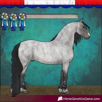 Horse Color:Blue Roan 