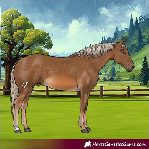 Horse Color:Chocolate Palomino 