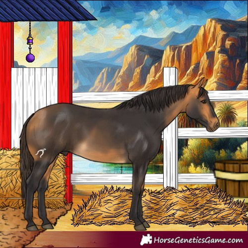 Horse Color:Buckskin 