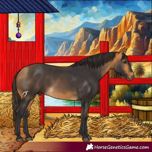 Horse Color:Buckskin 