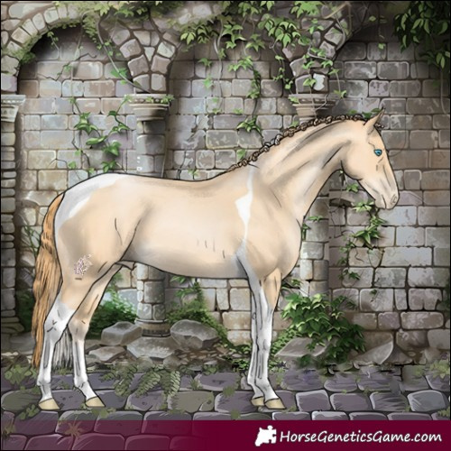 Horse Color:Buckskin Pearl Tobiano 