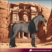 Horse Color:Grullo 