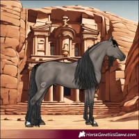 Horse Color:Grullo 