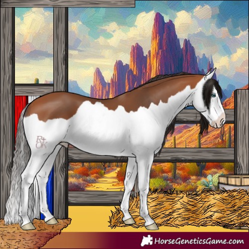 Horse Color:Bay Splash